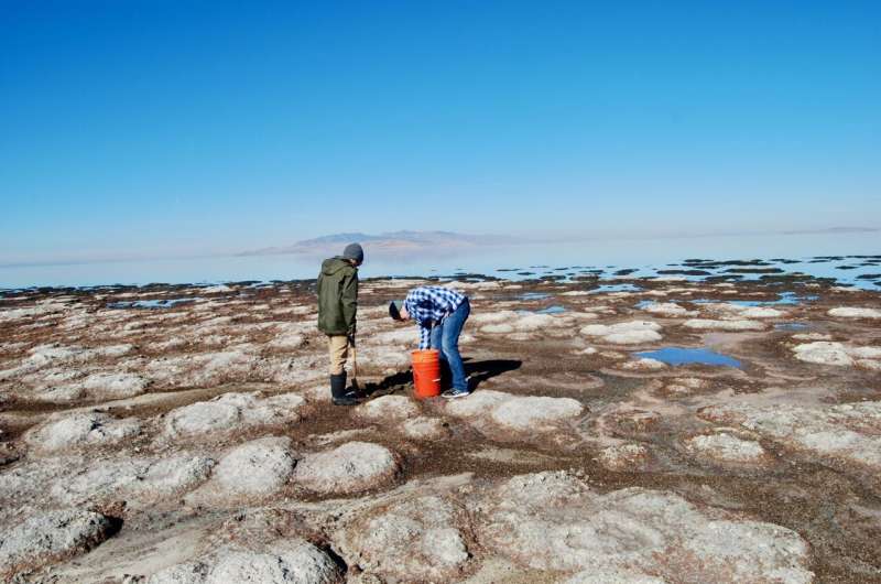 With discovery of roundworms, Great Salt Lake's imperiled ecosystem gets more interesting