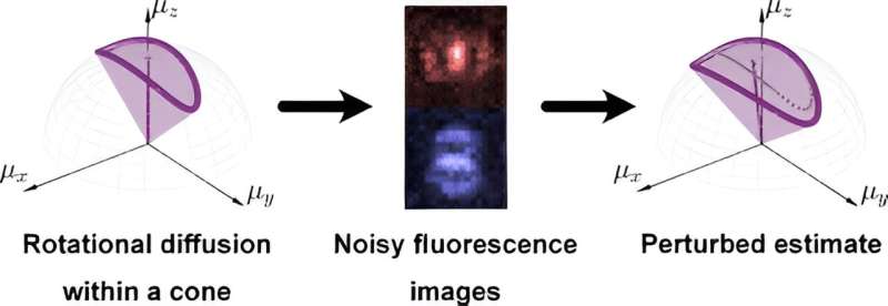 Wobbly molecules get a closer look