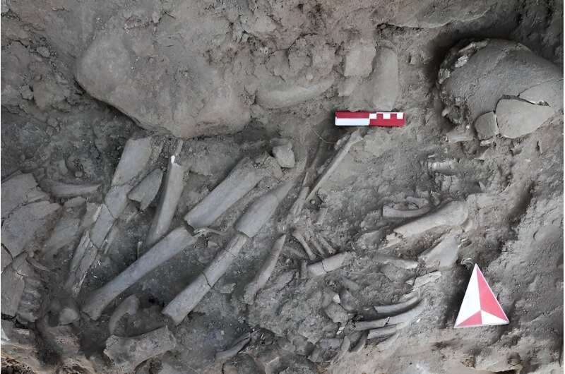 Woman buried 12,000 years ago in Turkey may have been a shaman