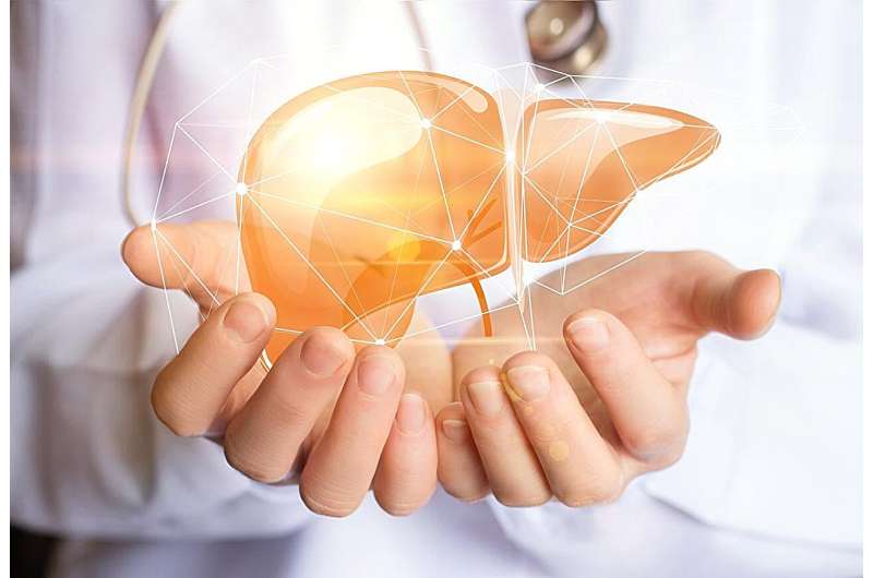 Women with liver cancer less likely than men to receive liver transplant