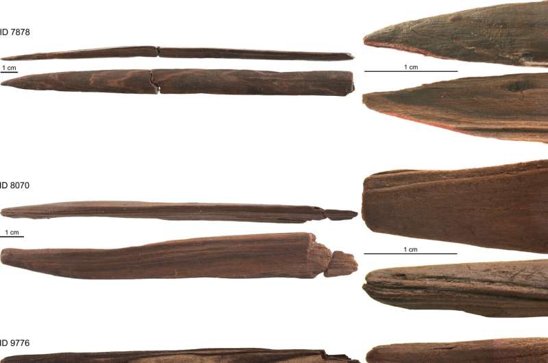 Wood split 300,000 years ago to hunt animals, study shows