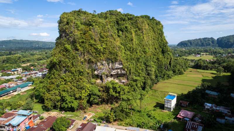In een grot in Indonesië is het oudste kunstwerk ter wereld ontdekt