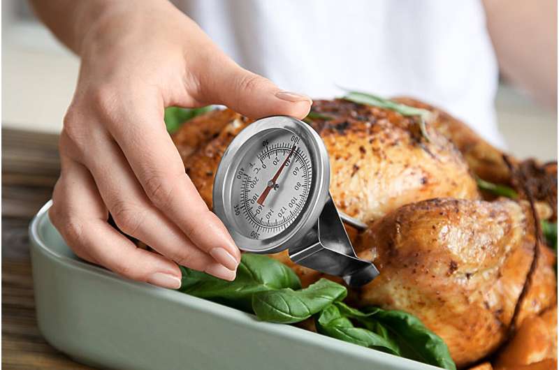 Worried about bird flu or salmonella? your cooking thermometer could be life saver