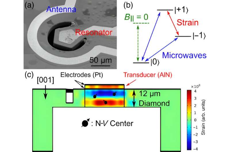 X-ray imagery of vibrating diamond opens avenues for quantum sensing