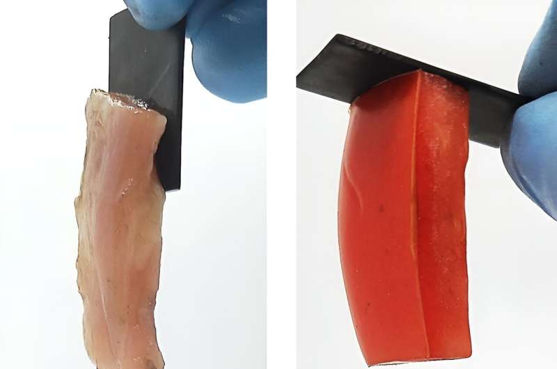 You don't need glue to hold these materials together — just electricity
