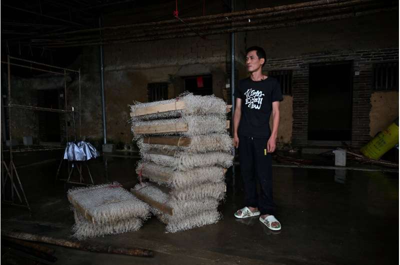 Zhu Huangyi, a local producer of silkworm who lost two thirds of production due to flooding