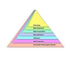 Maslow's pyramid gets a much needed renovation