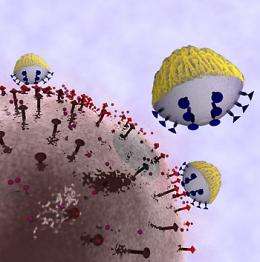 Engineers develop cancer-targeting nanoprobe sensors 
