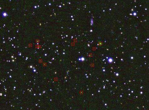 Subaru telescope discovers a Rosetta Stone cluster of galaxies