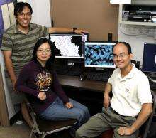 Iowa State, Ames Lab researchers identify structure that allows bacteria to resist drugs