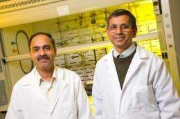 MU researchers show potential for new cancer detection and therapy method