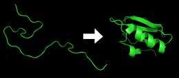 New method takes snapshots of proteins as they fold