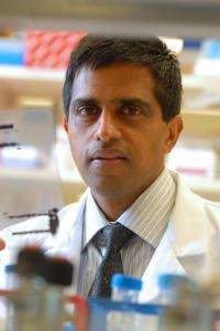 Research points to 2 promising proteins for preventing diabetes