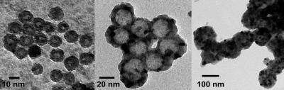 Study shows that size affects structure of hollow nanoparticles