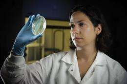 Virginia Tech engineer identifies new concerns for antibiotic resistance, pollution