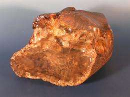 Scientists describe  first Cretaceous African amber deposit