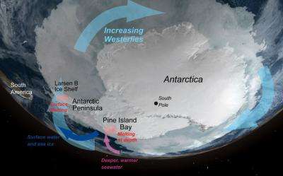 Unstable Antarctica: What's driving ice loss?