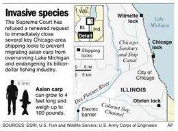 6-week search finds no Asian carp near Chicago (AP)