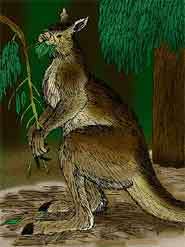 Early humans caused extinction of Australia's giant animals 