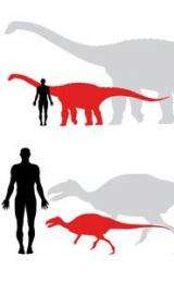 Island of dwarf dinosaurs: 100-year-old theory confirmed