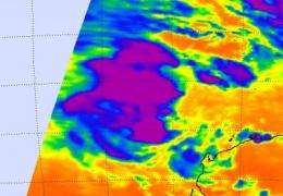 NASA infrared satellite data gives System 96S a fair shot at becoming a tropical cyclone