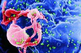 New insights into the mystery of natural HIV immunity