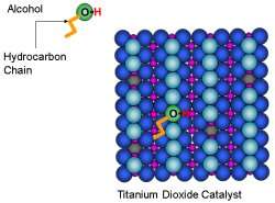 Scientists see carbon chains preferred locales on popular catalyst