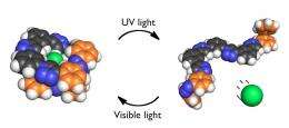 Chemists develop new 'light switch' chloride binder