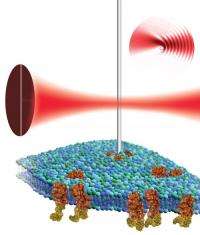 A Little Less Force: Making Atomic Force Microscopy Work for Cells