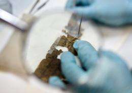 Google to bring Dead Sea Scrolls online