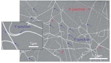 Carbon nanotube transistors could lead to inexpensive, flexible electronics