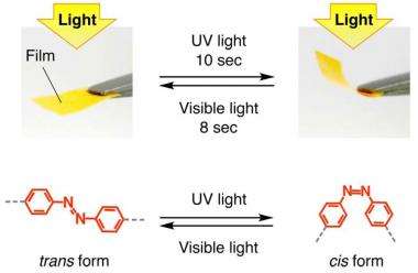 New photosensitive film converts light into kinetic energy, bends when irradiated