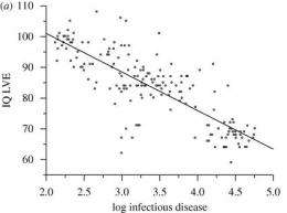 Study links low national average IQs with infectious diseases