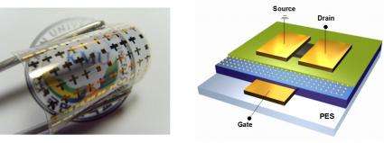 High reliability of flexible organic transistor memory looks promising for future electronics