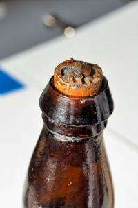 Scientists to study one of world's oldest beers