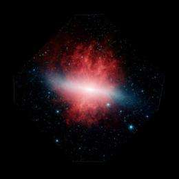 Mystery object in Starburst Galaxy M82 possible micro-quasar