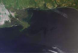 Oil spill in the Gulf of Mexico nears the coast