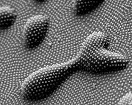 Polymer scientists make imprint on nanolithography 