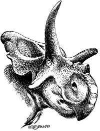 Scientists announce new horned dinosaur