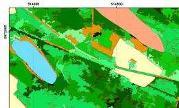 Novel services for tropical forest monitoring with satellite
