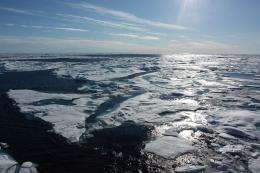 Ice-free Arctic Ocean may not be of much use in soaking up carbon dioxide: study
