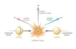 Unique new probe of proton spin structure at RHIC
