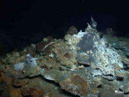 Deep-sea hot springs discovered in the Atlantic