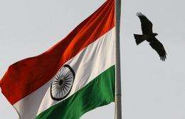 A Black Kite flies over in New Delhi