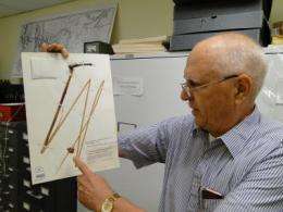 Academy authority on delta bulrush says 'his' plant could help ease oil spill crisis