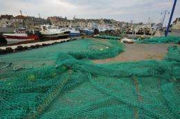 According to the report 29 pct of  handouts went to measures which contributed to overfishing
