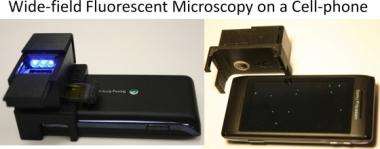 Add-on device converts cell phones into wide-field fluorescent microscopes