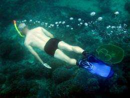 A diver of the nature Conservancy inspect coral at Nusa Penida sea in Klungkung, Bali island