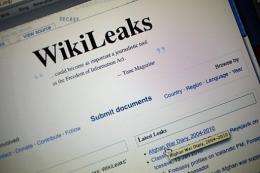 A hacker is taking credit for the Wikileaks takedown