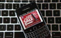 Americans clicked up a record 30.8 billion dollars in online holiday sales in 2010, a jump of 13 percent from a year ago